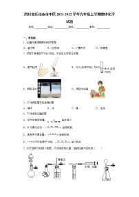 四川省乐山市市中区2021-2022学年九年级上学期期中化学试题(word版含答案)