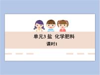 2020-2021学年单元3 盐 化学肥料教学课件ppt