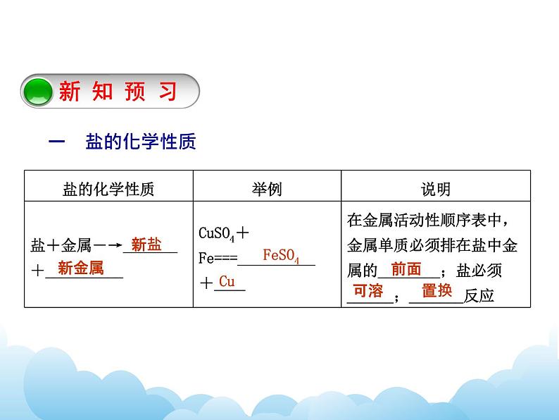 8.4常见的盐（2）课件04