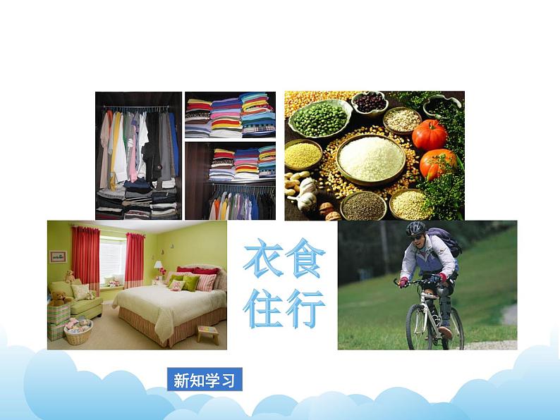 9.1有机物的常识课件04