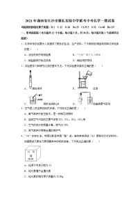 2021年湖南省长沙市雅礼实验中学联考中考化学一模试卷(解析版)