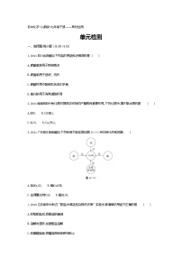 人教版九年级下册第十一单元  盐  化肥综合与测试当堂达标检测题