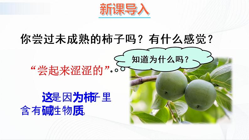 8.2《常见的酸和碱》第三课时 课件+教案+素材02