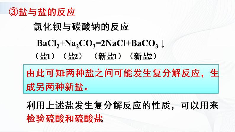 第2课时 盐的化学性质 课件第6页