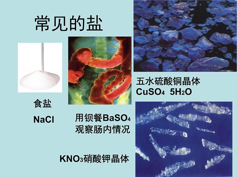 人教版初中化学九下《第十一单元  盐  化肥  课题1 生活中常见的盐》课件PPT03