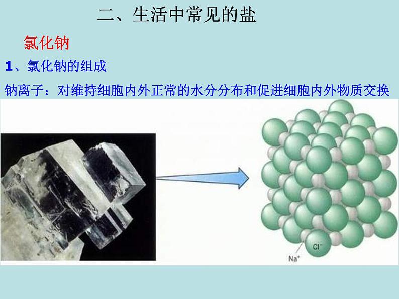 人教版初中化学九下《第十一单元  盐  化肥  课题1 生活中常见的盐》课件PPT07