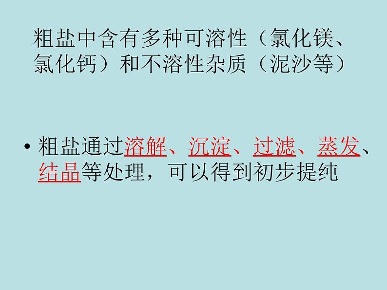 人教版初中化学九下《第十一单元  盐  化肥  课题1 生活中常见的盐》课件PPT07