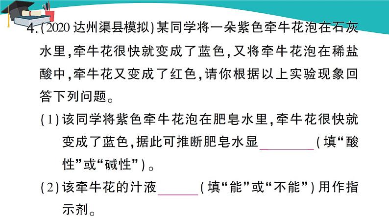 人教版初中化学九年级下册  第十单元 课题1《常见的酸和碱》（第1课时）课件+教案+练习05