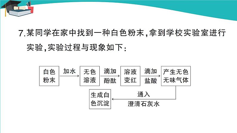 第1课时 几种生活中常见的盐第8页