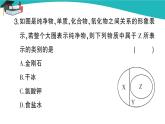 人教版初中化学九年级下册  第十一单元 课题1《生活中常见的盐》（第3课时）课件+教案+练习