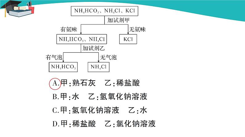 人教版初中化学九年级下册  第十一单元 课题2《化学肥料》（第2课时）课件+教案+练习06