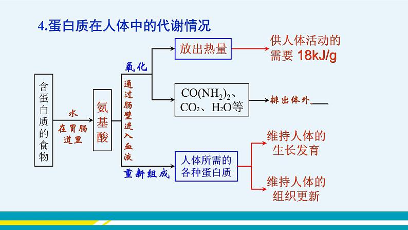 人教版初中化学九年级下册  第十二单元  课题1《人类重要的营养物质》课件+教案+练习08