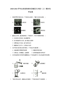 2020-2021学年山东省济南市历城区九年级（上）期末化学试卷