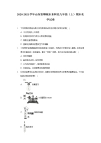 2020-2021学年山东省聊城市东阿县九年级（上）期末化学试卷