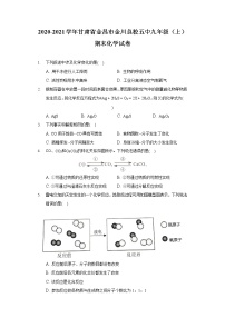 2020-2021学年甘肃省金昌市金川总校五中九年级（上）期末化学试卷