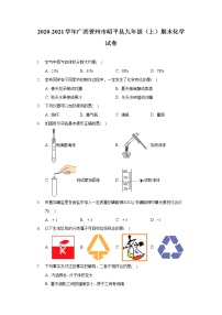 2020-2021学年广西贺州市昭平县九年级（上）期末化学试卷