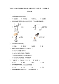 2020-2021学年湖南省永州市新田县九年级（上）期末化学试卷