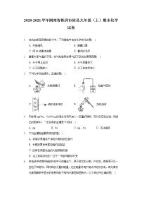 2020-2021学年湖南省株洲市攸县九年级（上）期末化学试卷