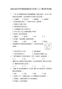 2020-2021学年青海省海东市九年级（上）期末化学试卷