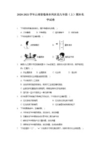 2020-2021学年云南省临沧市凤庆县九年级（上）期末化学试卷