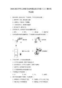 2020-2021学年云南省文山州砚山县九年级（上）期末化学试卷