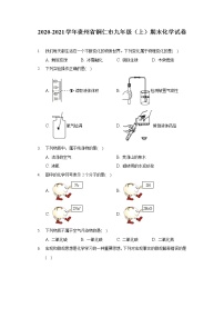 2020-2021学年贵州省铜仁市九年级（上）期末化学试卷