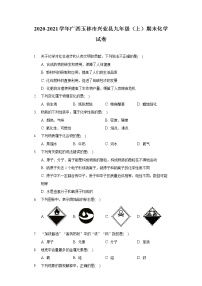 2020-2021学年广西玉林市兴业县九年级（上）期末化学试卷