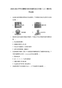 2020-2021学年安徽省安庆市宿松县九年级（上）期末化学试卷