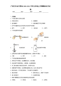 广西百色市平果市2020-2021学年九年级上学期期末化学试题（word版 含答案）