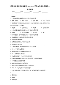 黑龙江省绥棱县五校联考2021-2022学年九年级上学期期中化学试题（word版 含答案）