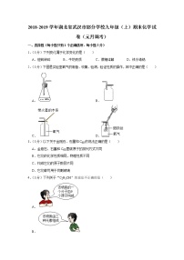 2018-2019学年湖北省武汉市部分学校九年级（上）期末化学试卷（元月调考）