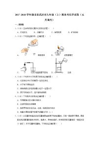 2017-2018学年湖北省武汉市九年级（上）期末考化学试卷（元月调考）