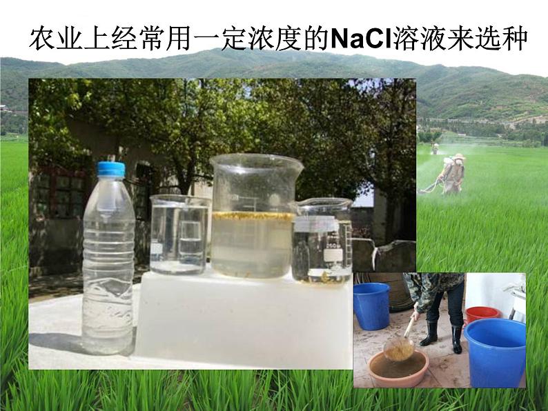 北京课改版九年级化学下册 9.2溶液组成的定量表示 课件第2页