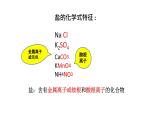 北京课改版九年级化学下册 12.1几种常见的盐 课件