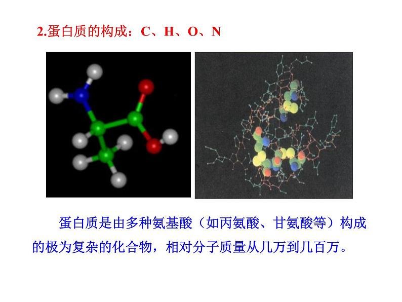 北京课改版九年级化学下册 13.1食物中的营养物质 课件07