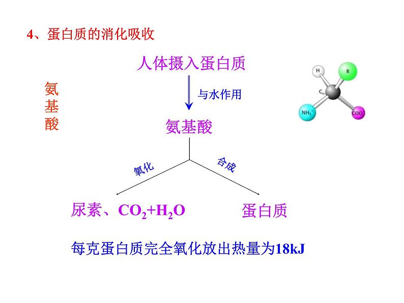 北京课改版九年级化学下册 13.1食物中的营养物质 课件08