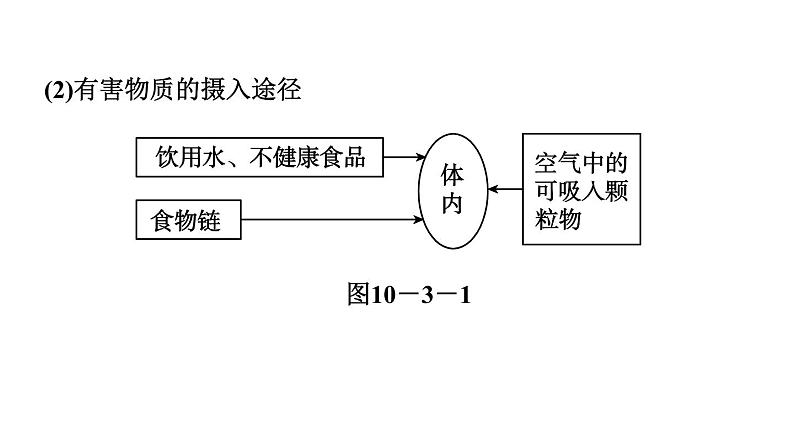 10-3 远离有毒物质课件PPT第4页