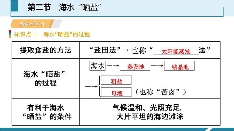 8-2.1 海水“晒盐”课件PPT03