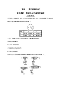 初中化学人教版九年级下册课题1 常见的酸和碱第1课时一课一练