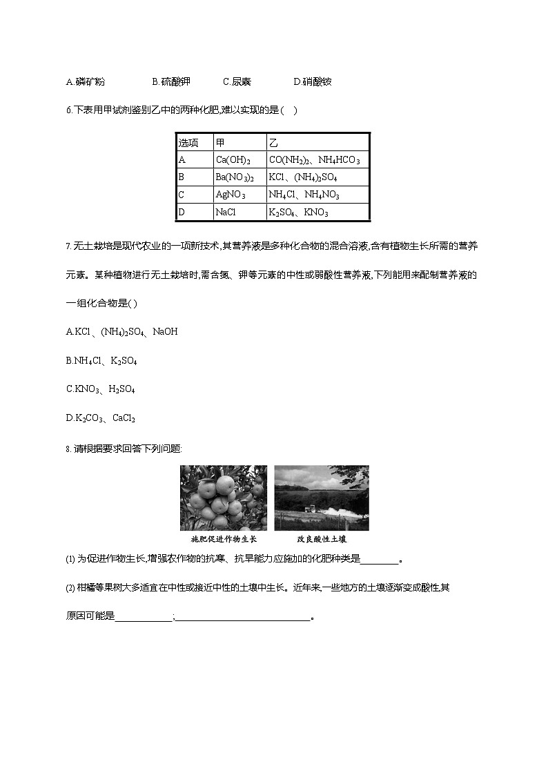 人教版九年级化学下册《第十一单元 课题2 化学肥料》同步练习题及参考答案02