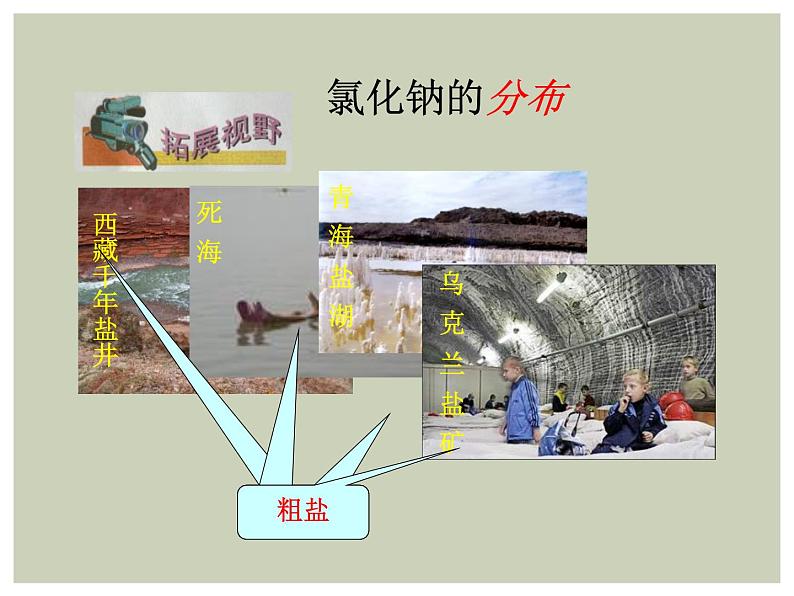 12-1 几种常见的盐课件PPT第3页