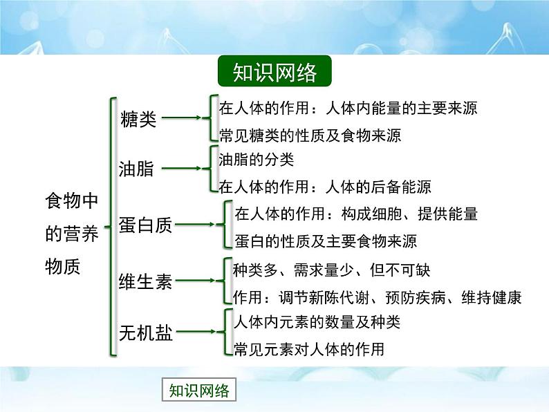 13-1 食物中的营养物质课件PPT第2页