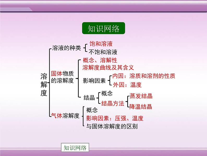 9-3 溶解度课件PPT02