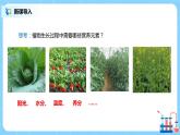 化學(xué)人教版九年級下冊第十一單元課題2《化學(xué)肥料》課件+教案+習(xí)題