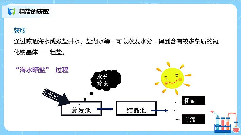 化学人教版九年级下册第十一单元实验活动8  课件+教案+习题03