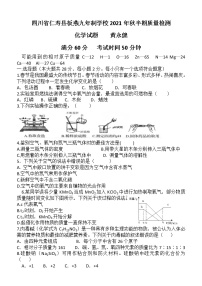 四川省眉山市仁寿县文宫镇板燕九年制学校2021-2022学年九年级上学期期中考试化学试题（WORD版，无答案）