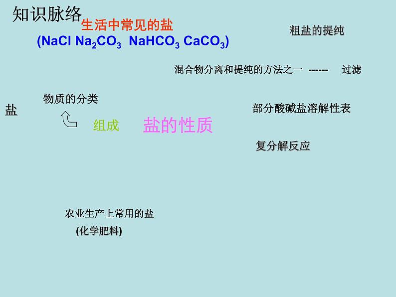 人教版初中化学九下《第11单元 盐 化肥》课件PPT02