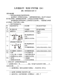 2021年中考一轮复习物质的检验导学案（无答案）