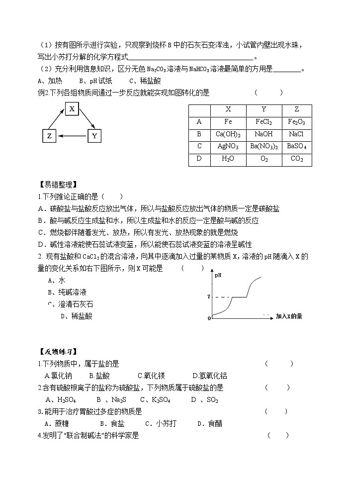 2021年中考一轮复习盐导学案（无答案）第2页