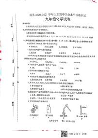 温县2020-2021学年上期期中九年级化学学业水平诊断测试（pdf版无答案）